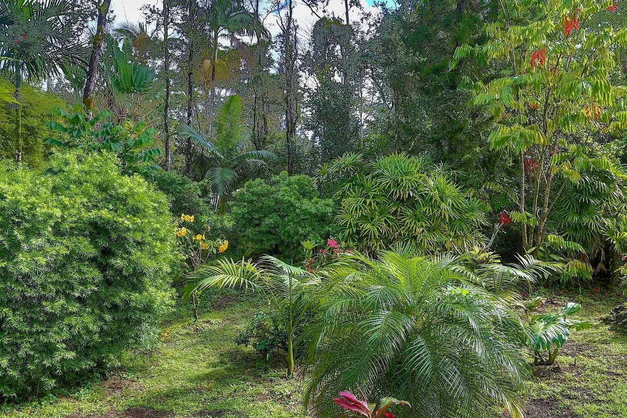 Tropical Anuenue Cottage Keaau Hébergement de vacances
